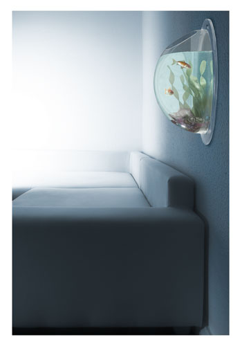 Aquarien und mehr so Zeugs...