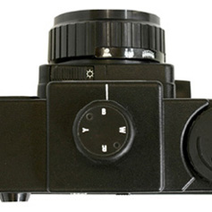 Holga