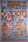 Hijo Del Perro Aguayo - Villano IV - Mascara Sagrada - Lucha Libre