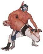 Lucha Libre Wrestling Masken
