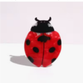 CALIFORNIA MAGIC FOREST LADYBUG- HAAR CLIP