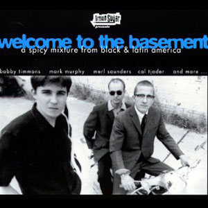 VARIOUS ARTISTS - Welcome To The Basement