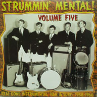 VARIOUS ARTISTS - Strummin Mental Vol. 5