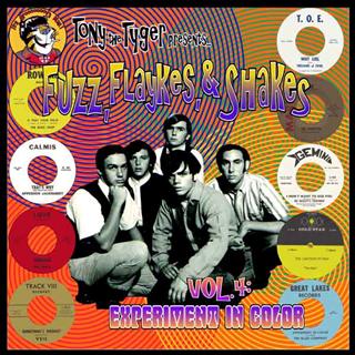 VARIOUS ARTISTS - FUZZ, FLAYKES & SHAKES Vol. 4
