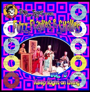 VARIOUS ARTISTS - FUZZ, FLAYKES & SHAKES Vol. 5