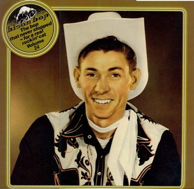 VARIOUS ARTISTS - Bison Bop Vol. 24