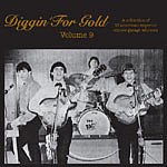 VARIOUS ARTISTS - Diggin' For Gold Vol. 9