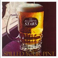 FLAMING STARS - Spilled Your Pint