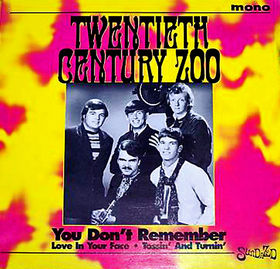 TWENTIETH CENTURY ZOO - You Don't Rememer