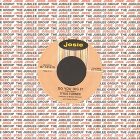 TITUS TURNER - Do You Dig It