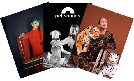 Pet Sounds Buch bestellen