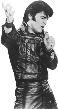 Elvis Presley - Leder Outfit