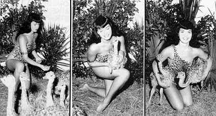 Bettie Page - Birds