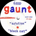 GAUNT - Solution