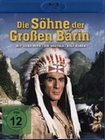 Die Shne der grossen Brin - DEFA