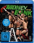 Money in the Bank 2013