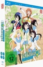 Nisekoi - Staffel 2/Box 1 (+ Sammelschuber)