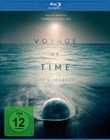 Voyage of Time