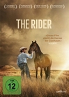 The Rider