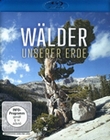 Wälder unserer Erde
