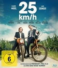 25 km/h