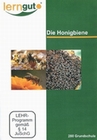 Die Honigbiene