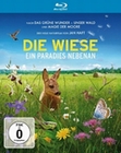 DIE WIESE - Ein Paradies nebenan